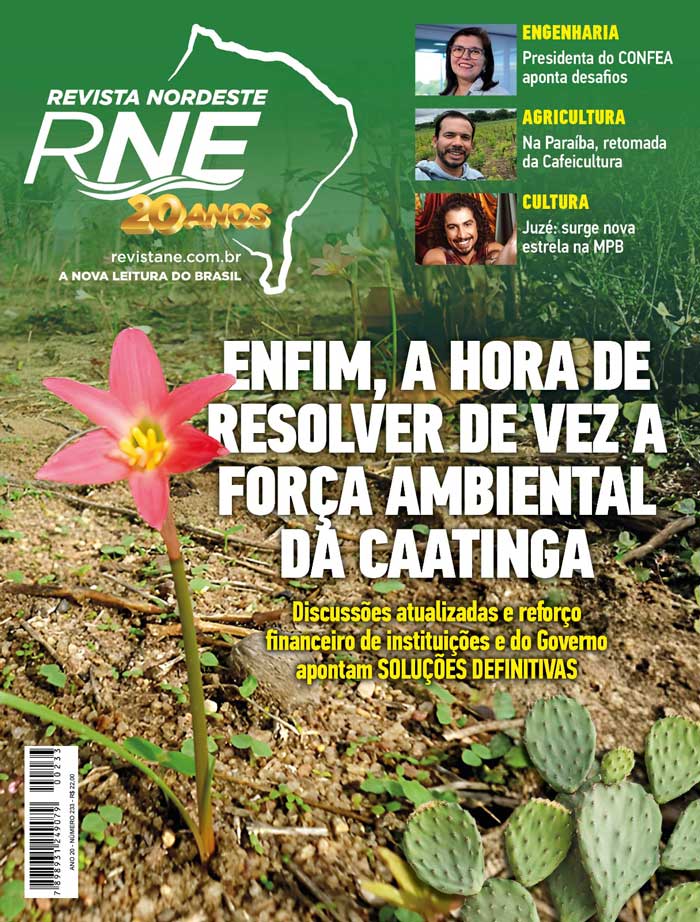 Revista NE