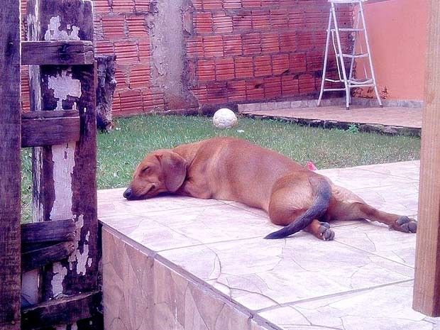 Imagem Substituída