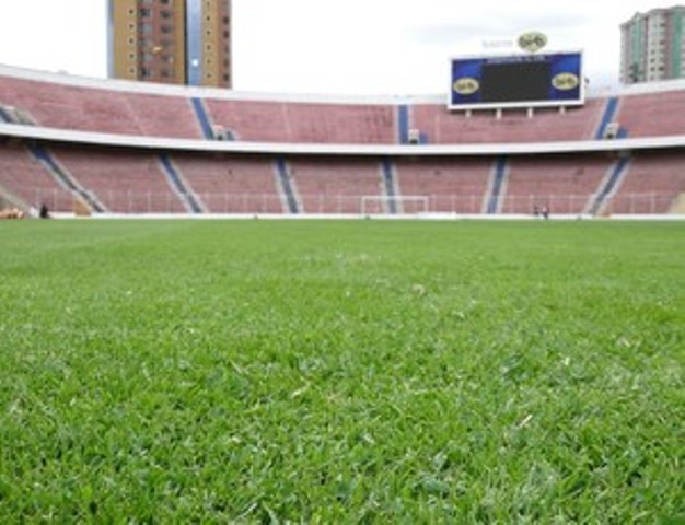 Imagem Substituída