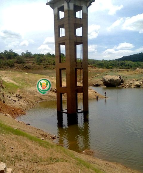 Imagem Substituída
