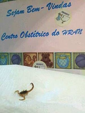 Imagem Substituída