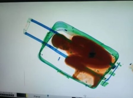 Imagem Substituída