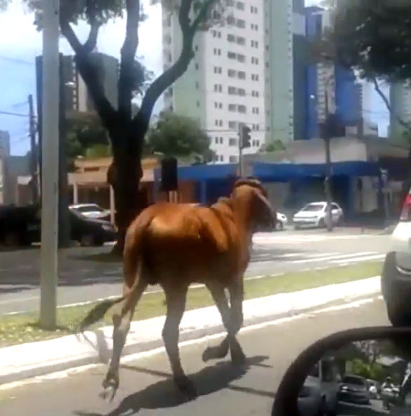 Imagem Substituída