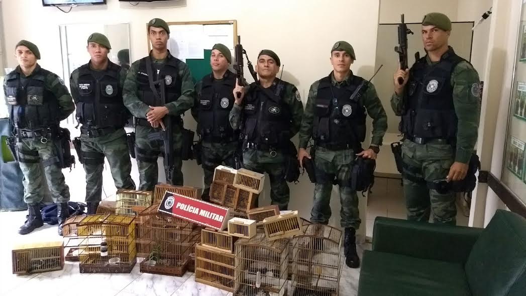 Imagem Substituída