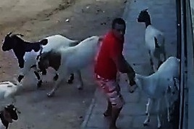 Imagem Substituída