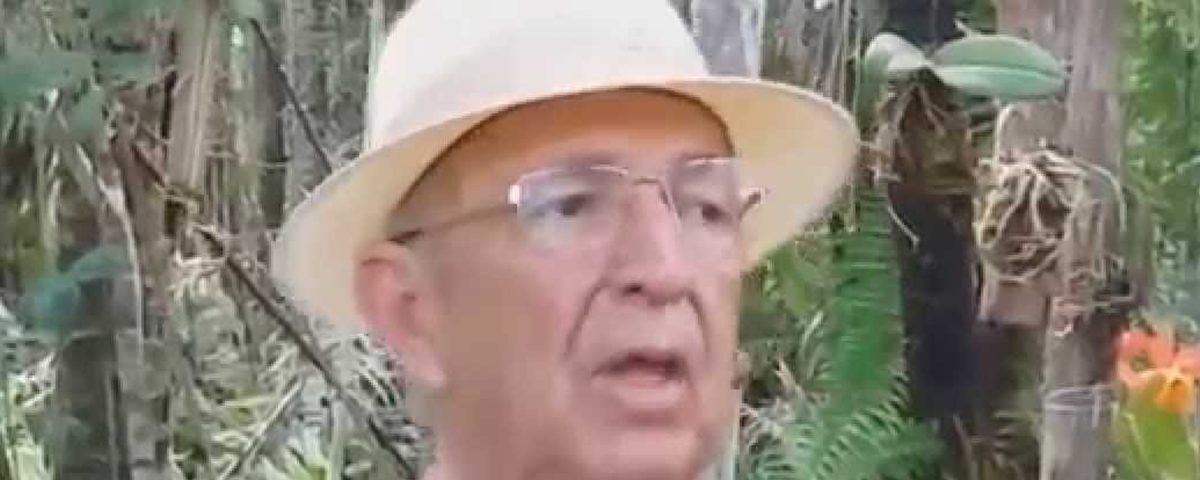 Imagem Substituída