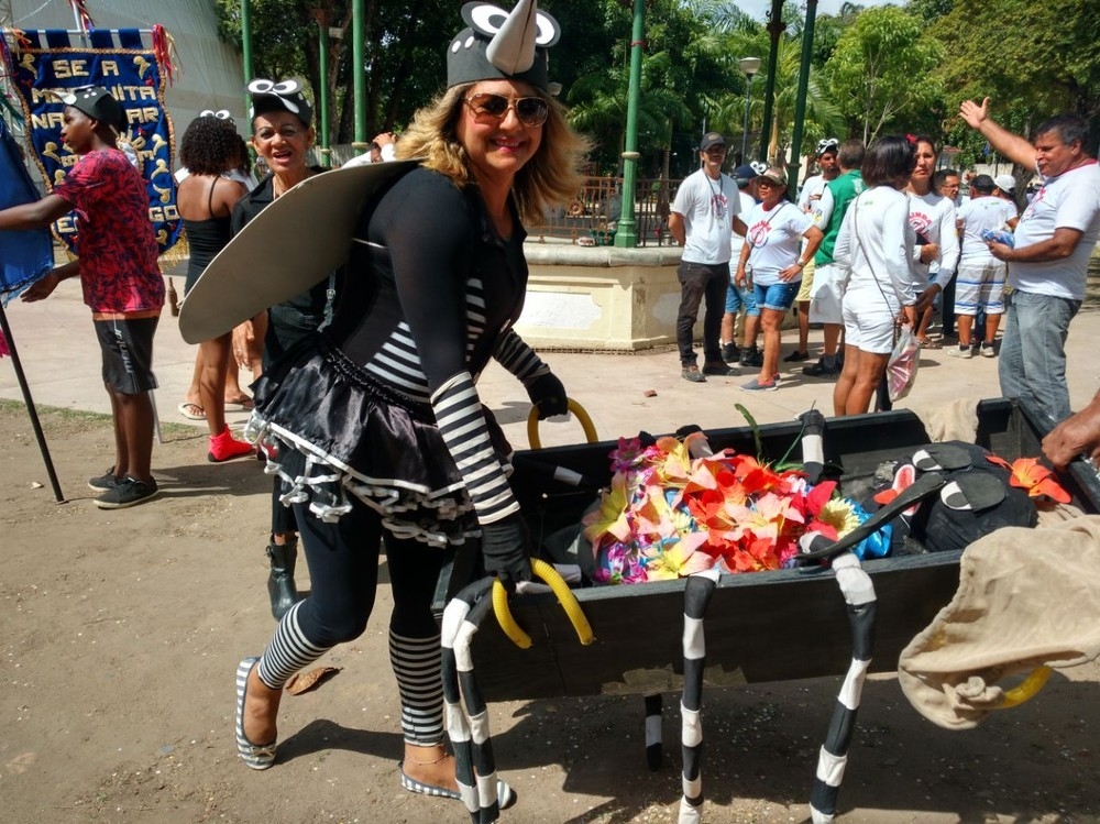 Imagem Substituída