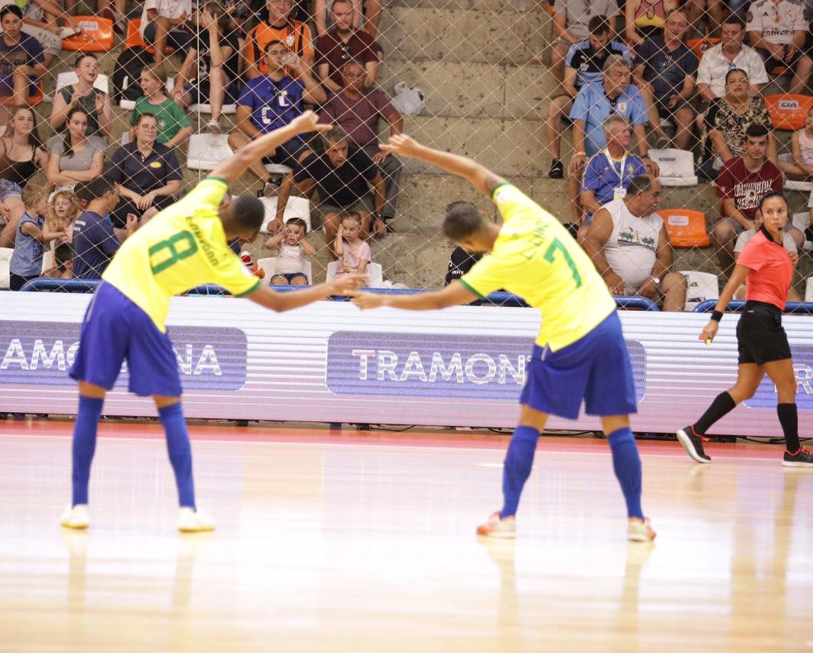 Imagem Substituída