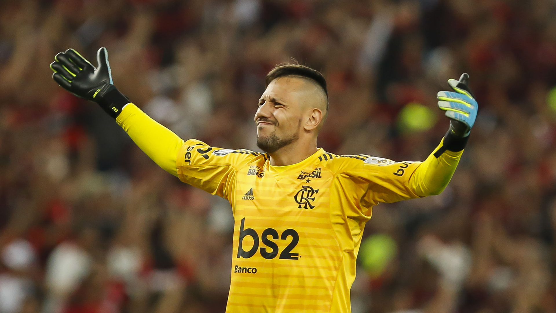 Imagem Substituída