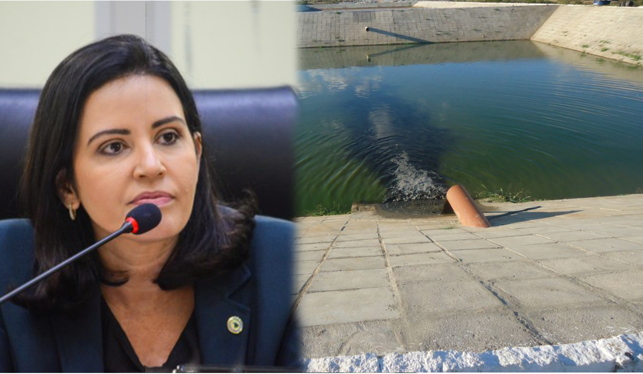 Imagem Substituída