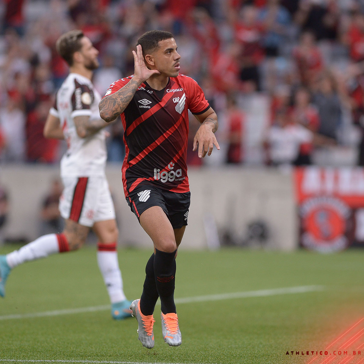 Imagem Substituída