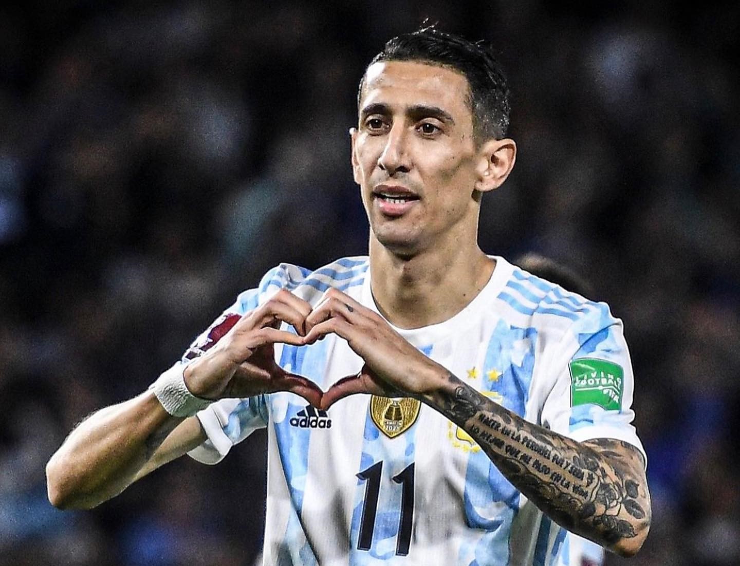 Imagem Substituída