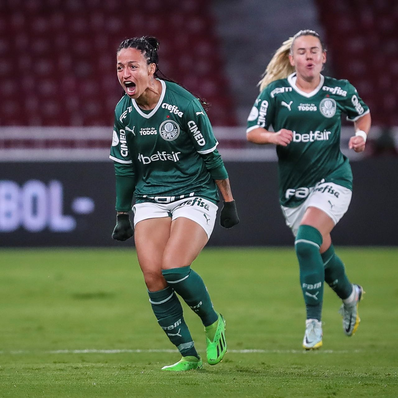 Imagem Substituída