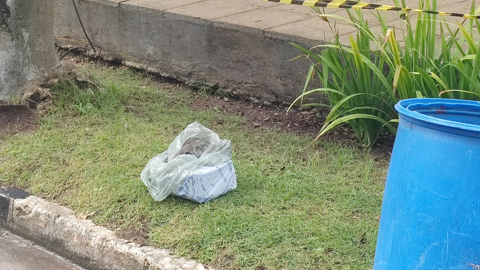 Imagem Substituída