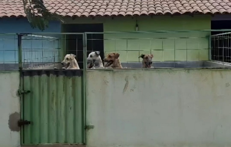 Imagem Substituída