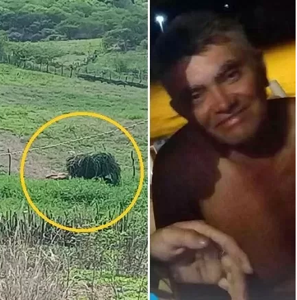 Imagem Substituída