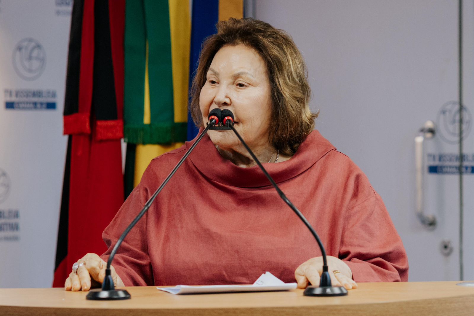 Imagem Substituída