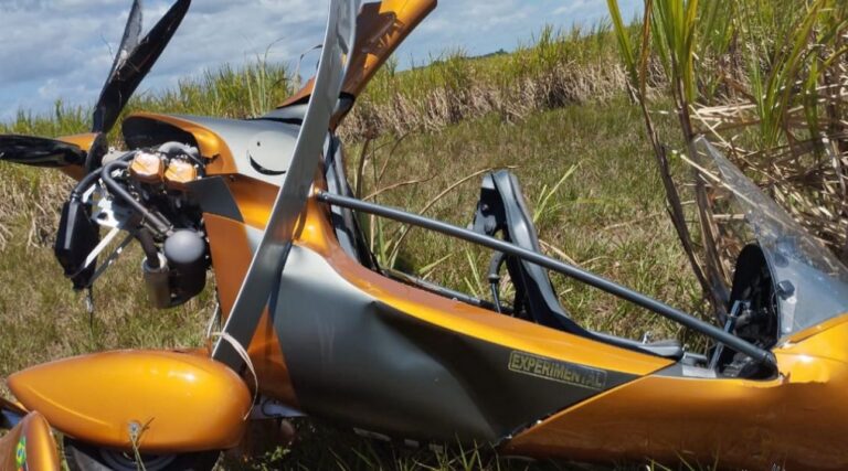 Aeronave teve de fazer pouso forçado em meio a canavial em Santa Rita - Foto: Reprodução