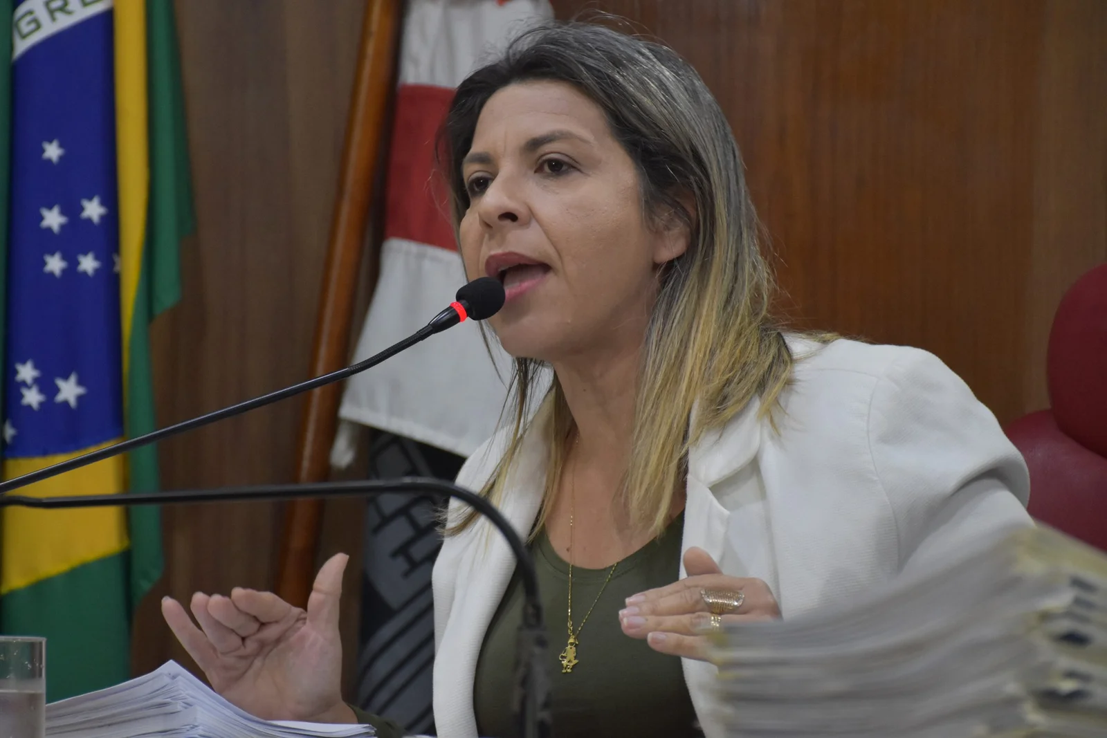 Eliza Virgínia