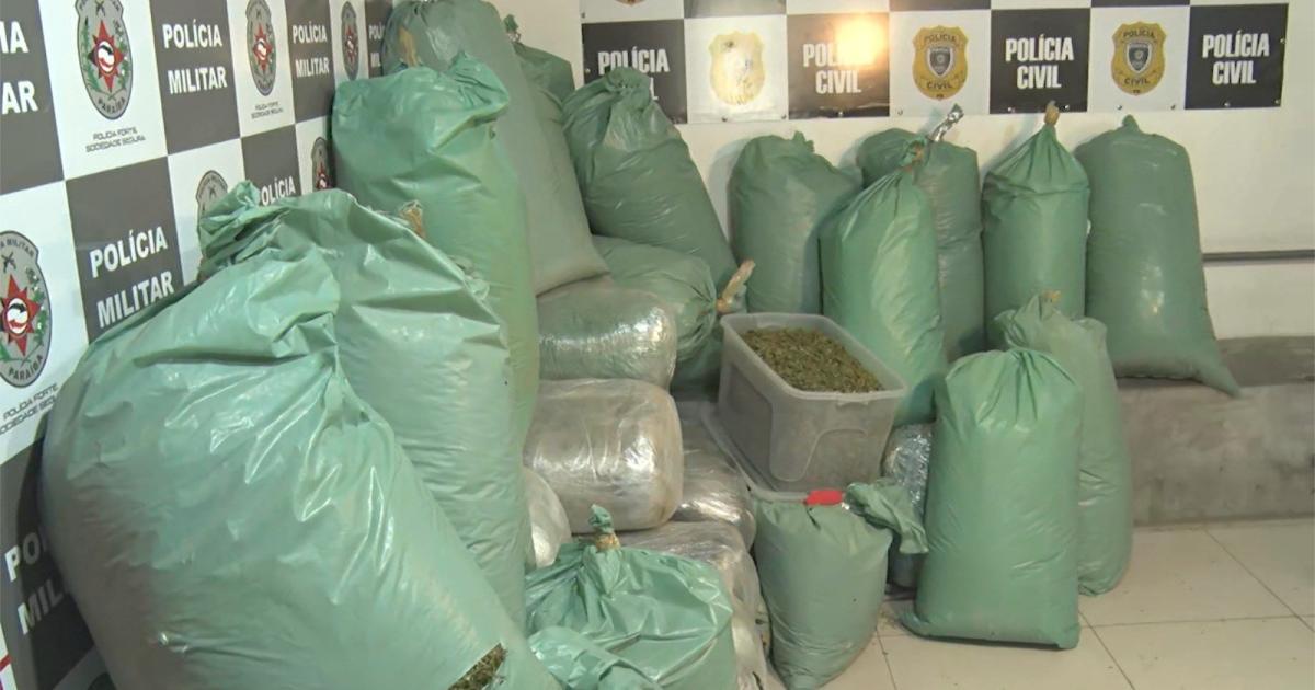 Apreensão de maconha em João Pessoa e Bayeux