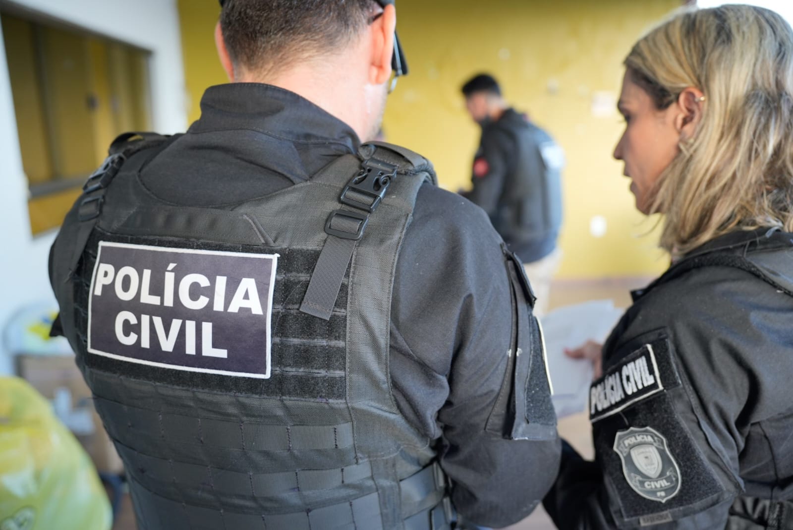 Polícia Civil / Policial civil / Policiais civis