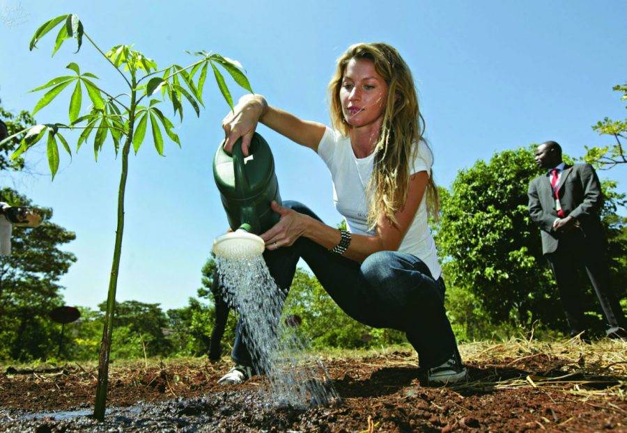 Foto: Divulgação/Página do Facebook de Gisele Bündchen.