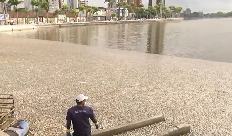 Poluição / peixes mortos no Açude Velho, em Campina Grande