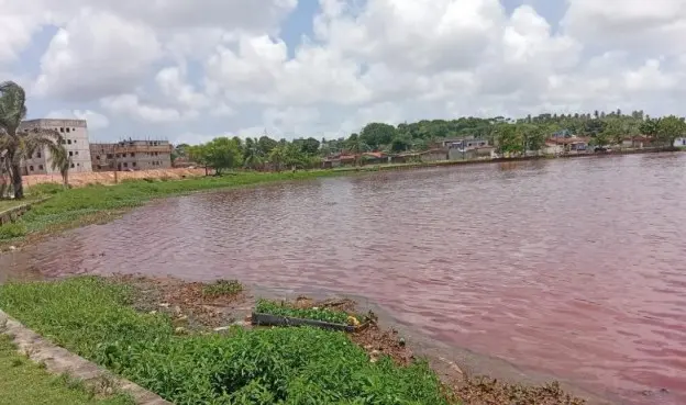 Água acinzentada no Parque das Três Lagoas, em João Pessoa