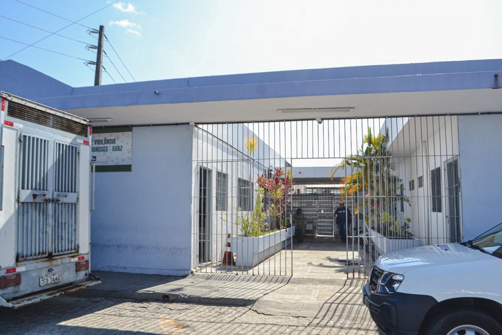 Tribunal de Justiça da Paraíba determina plano de controle de zoonoses em João Pessoa