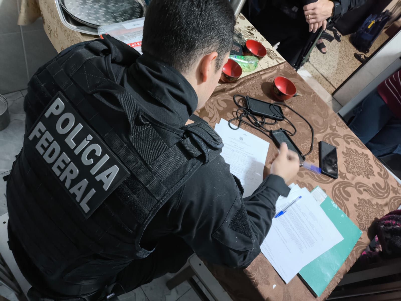 Polícia Federal deflagra operação contra plantação de maconha no Sertão paraibano - Foto: Reprodução/Polícia Federal