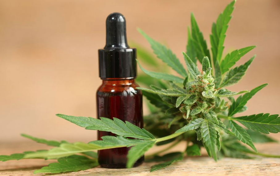 Participantes de encontro sobre Cannabis Medicinal, agricultura familiar e desenvolvimento sustentável em São José de Espinharas, na Paraíba.
