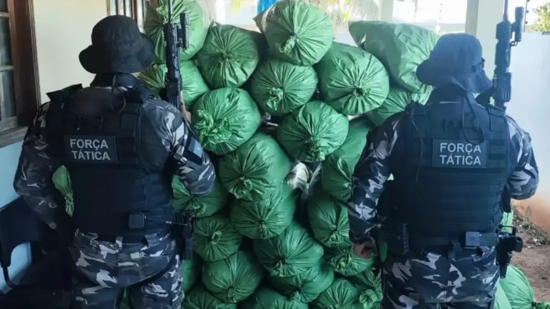 Apreensão de drogas em Sumé