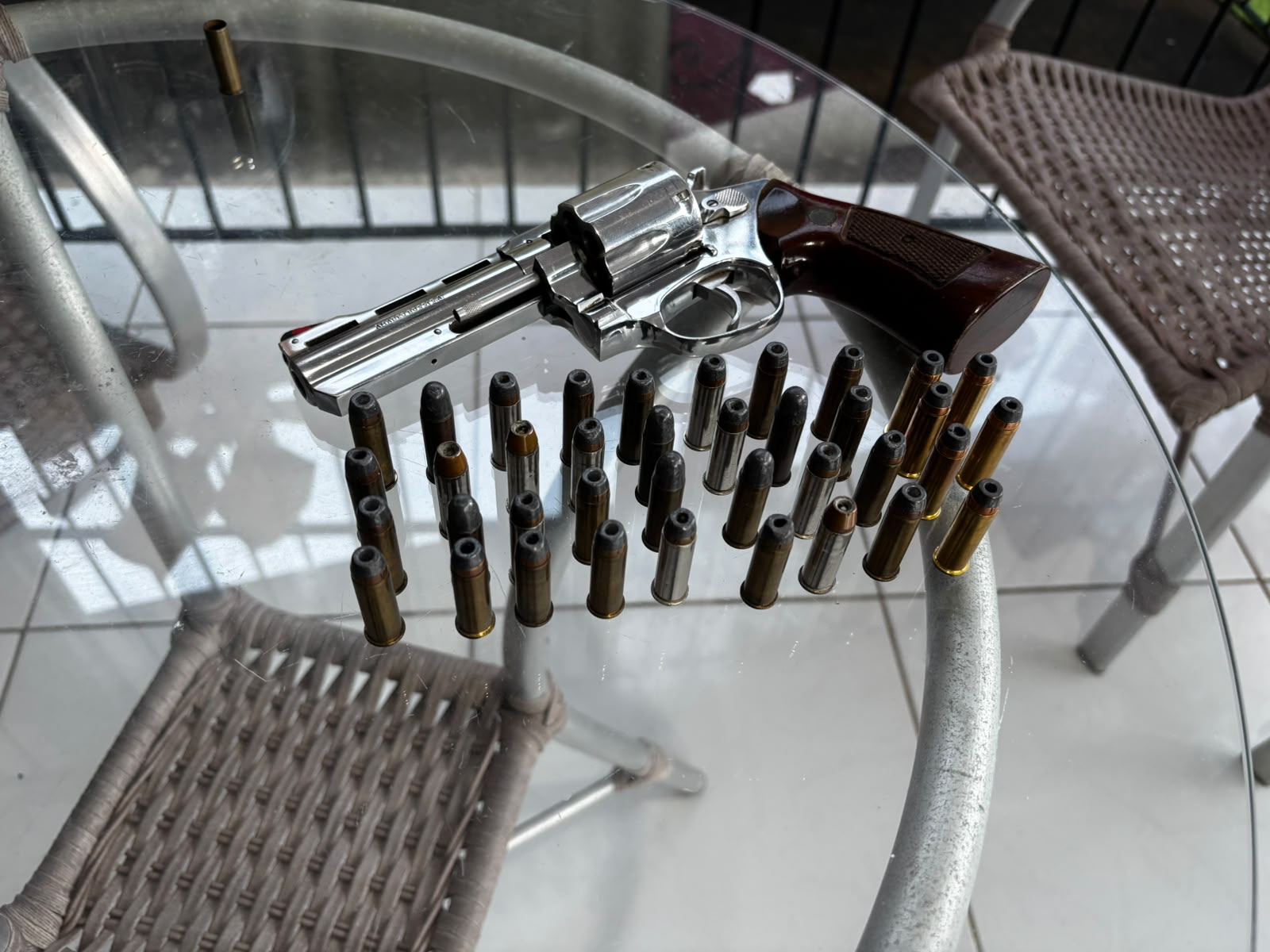 Arma e munições de servidor do Ibama