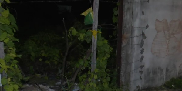 Corpo em avançado estado de decomposição é encontrado em terreno no Bairro dos Estados, em João Pessoa