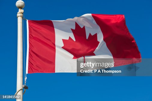 Governo do Canadá aplica estratégia de controle sanitário visa impedir a importação de agentes patogênicos e mitigar riscos epidemiológicos domésticos. (Foto: Gettyimages)