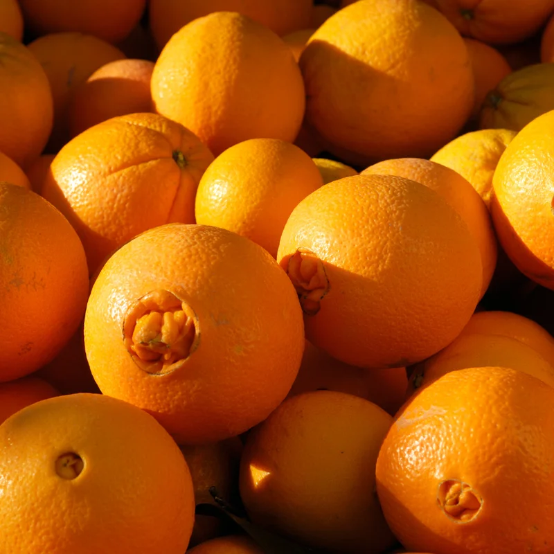 Pesquisa do Procon-JP revela diferença de R$ 34 no quilo do alho-poró e variação de 401% na laranja Bahia na capital.