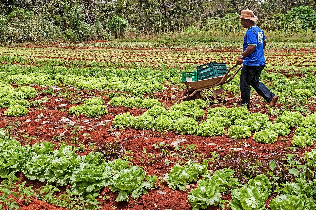 Senado aprova US$ 50 milhões do BIRD para o programa Paraíba Rural Sustentável II. Veja a lista completa dos empréstimos
