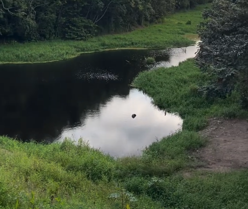 Rio Marés