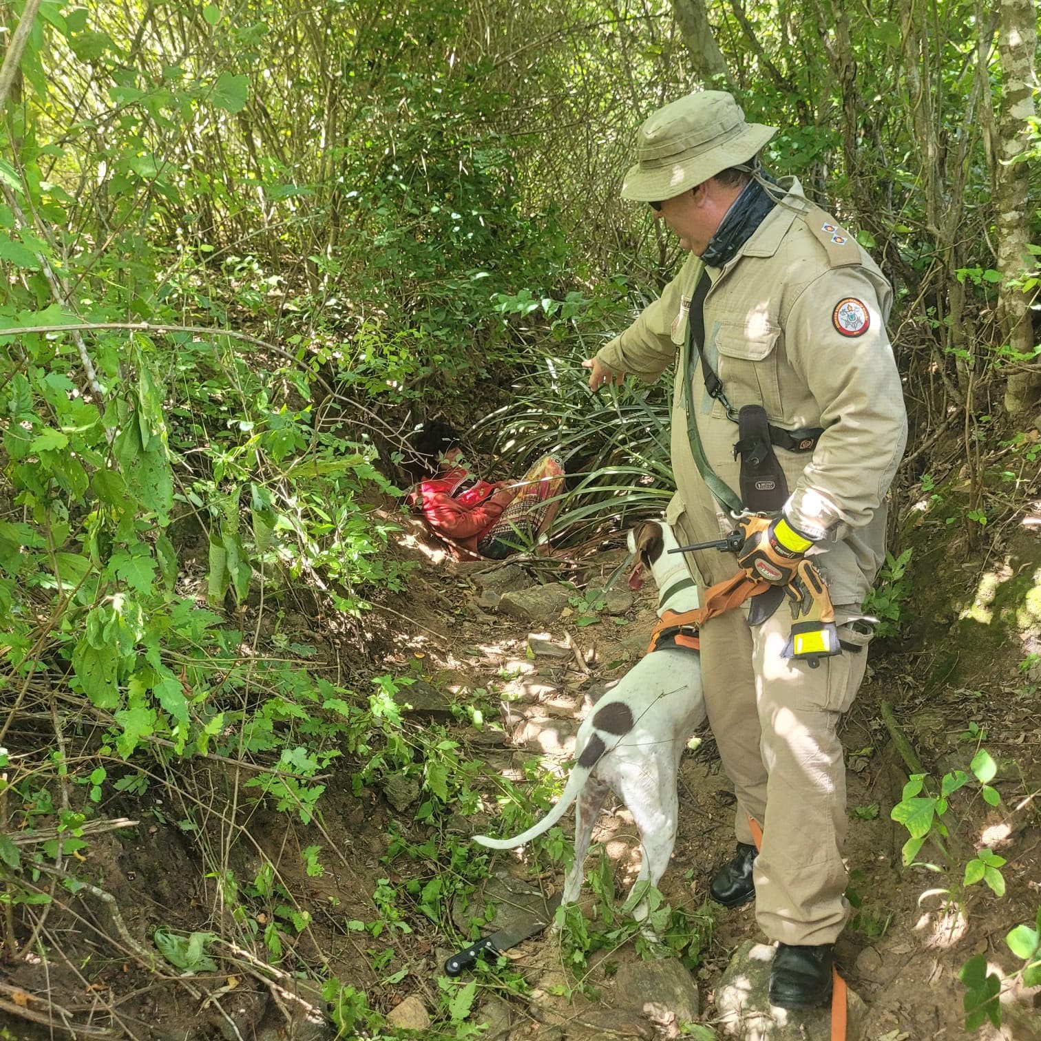 Bombeiros e cães farejadores durante operação que resgatou idosa desaparecida em área de mata em Aroeiras.