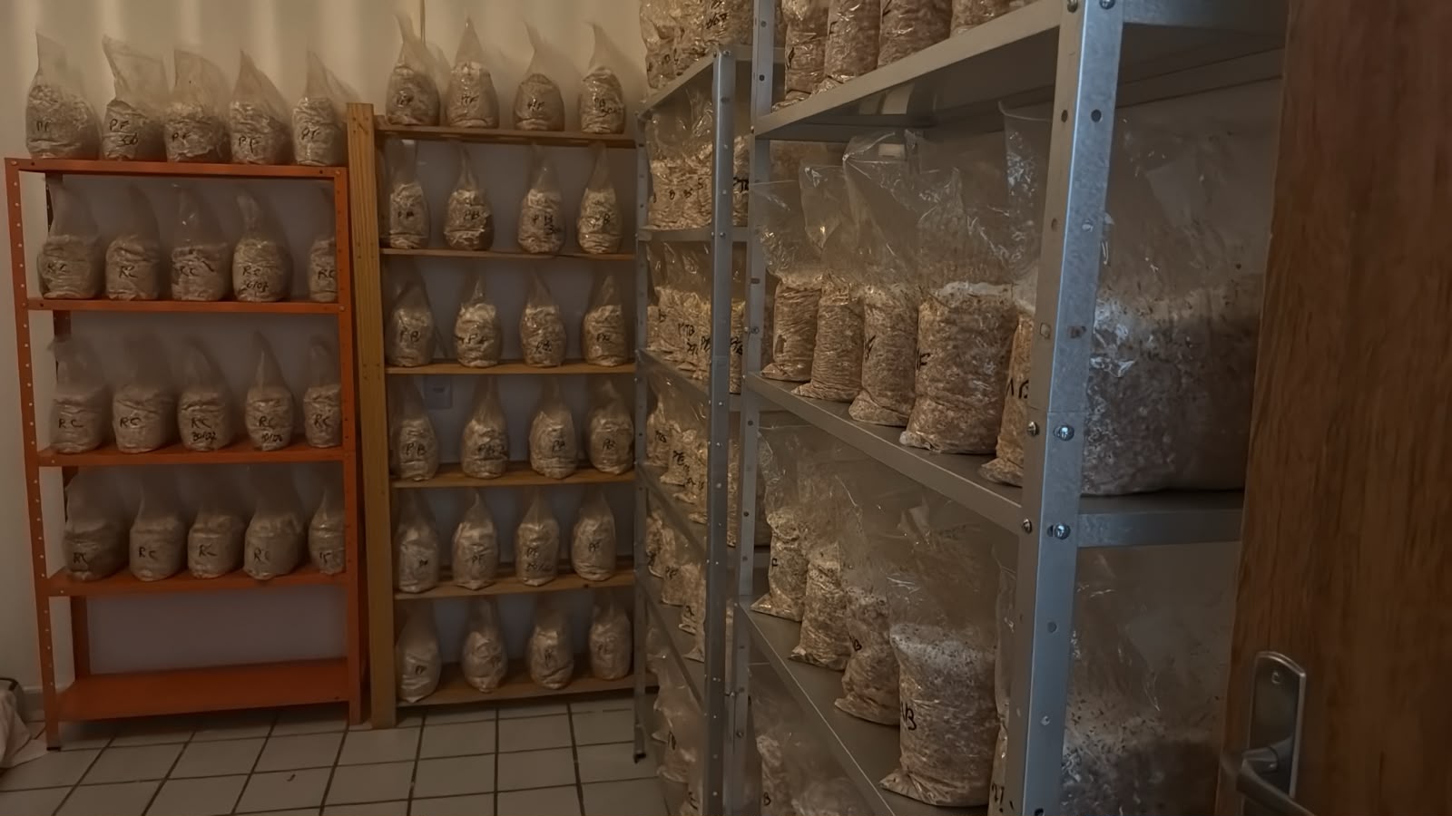 Polícia Federal durante operação contra organização criminosa suspeita de tráfico de drogas na Paraíba