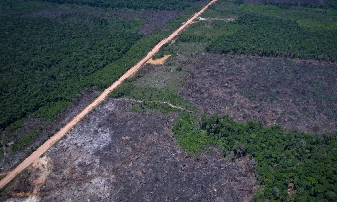 Alertas de desmatamento caem 36,8% na Amazônia e 7,8% no Cerrado, aponta relatório do INPE