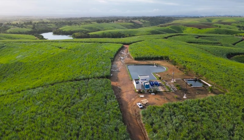 Irrigação por gotejamento subsuperficial aumenta produtividade em até 92,8% em usinas de cana no Nordeste. Confira o levantamento