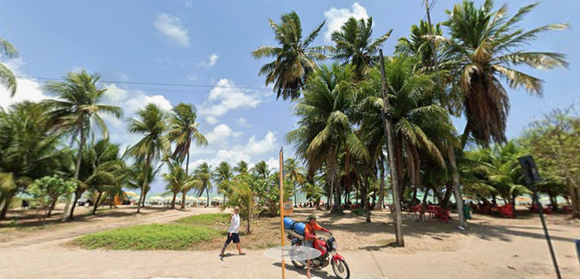 área de restinga na praia do Bessa