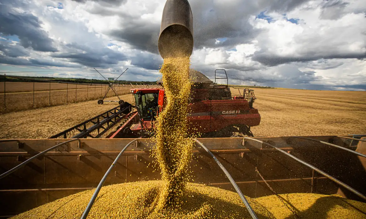 Produção de grãos no Brasil é estimada em 361,7 milhões de toneladas no ciclo 2025/26. Confira os dados da Conab