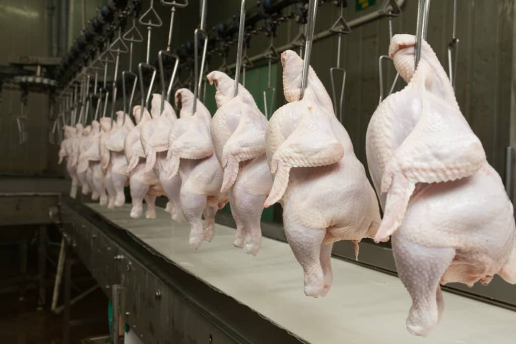 União Europeia considera controles sanitários do Brasil satisfatórios e deve liberar exportação de mel e aves. Veja