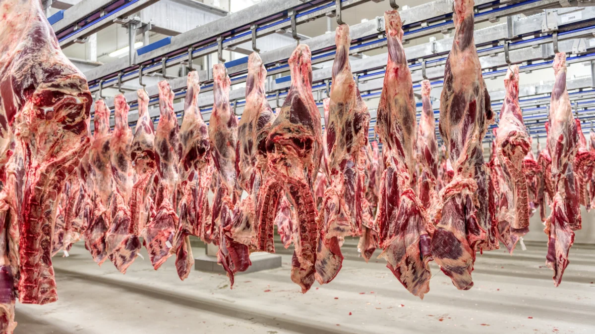 Brasil atinge limite de exportação de carne bovina para a China e passa a pagar tarifa de 67%