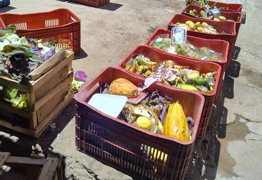 Fiscalização interdita farmácia, supermercado e bomba de combustível em Itaporanga por diversas irregularidades
