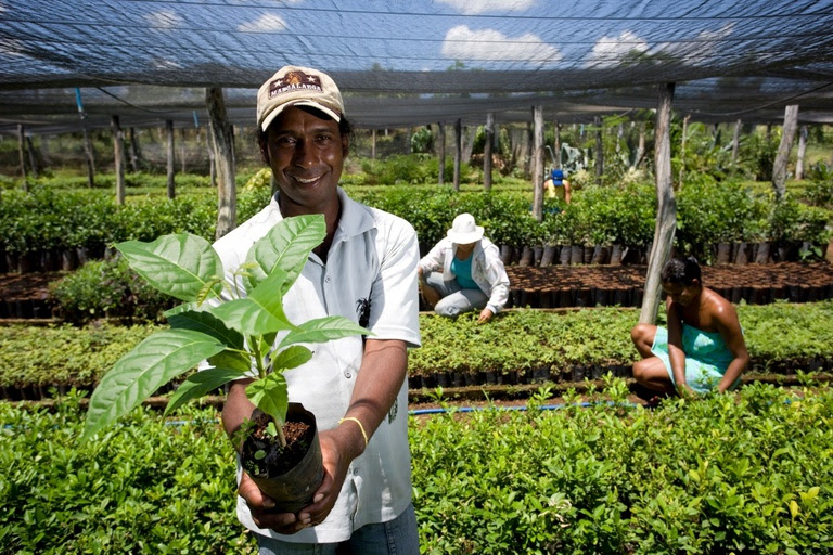 Pequenos produtores da Paraíba fecham 35 contratos com o setor público e acumulam R$ 185 mil em vendas